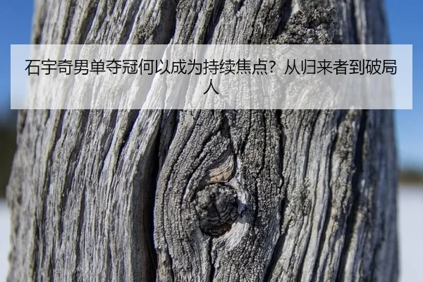 shi-yu-qi-nan-dan-duo-guan-he-yi-cheng-wei-chi-xu-jiao-dian-cong-gui-lai-zhe-dao-po-ju-ren-2-621.jpg
